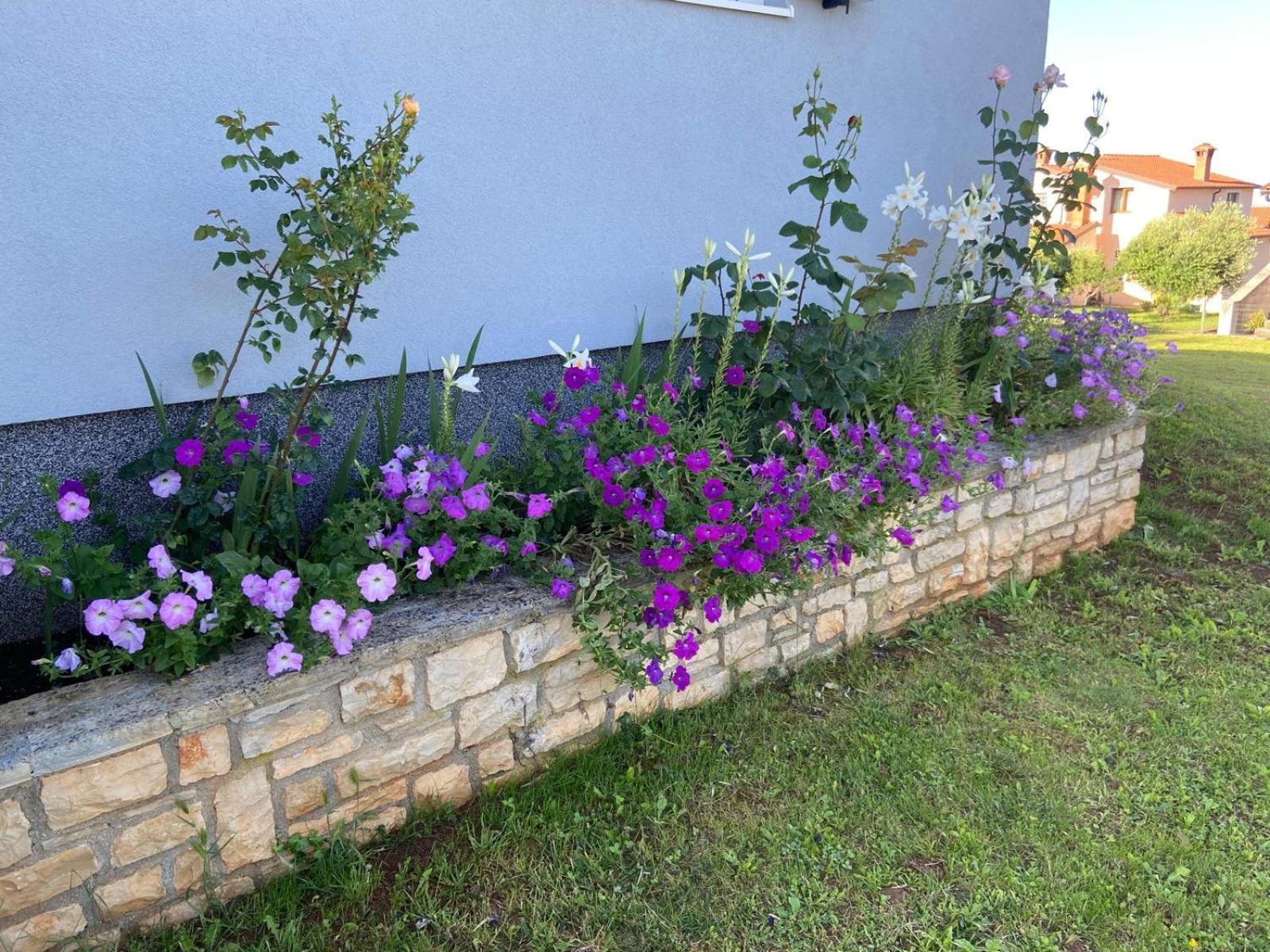 Holiday Home Mihaela Višnjan Kültér fotó