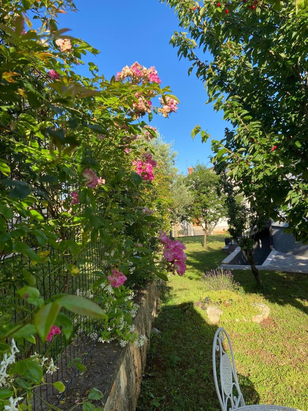 Holiday Home Mihaela Višnjan Kültér fotó